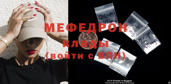 индика Новодвинск