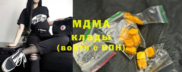 индика Новодвинск