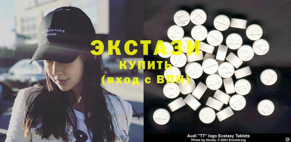 индика Новодвинск