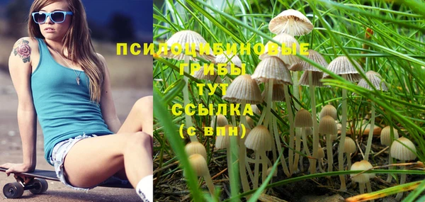 не бодяженный Новокубанск