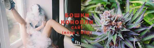 индика Новодвинск