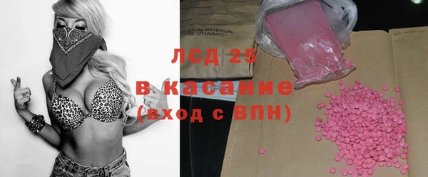 индика Новодвинск