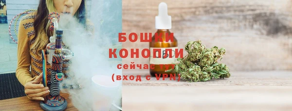 индика Новодвинск