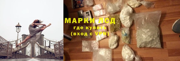 индика Новодвинск