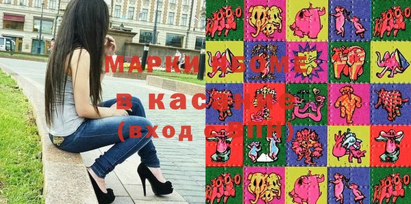 гашик Новозыбков