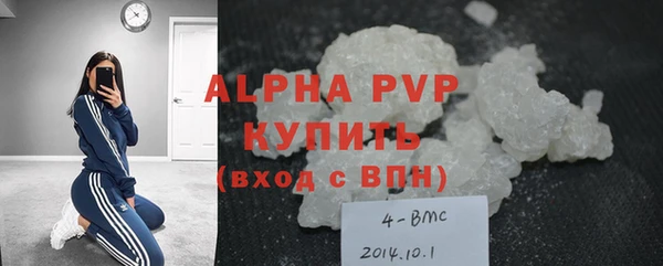 индика Новодвинск