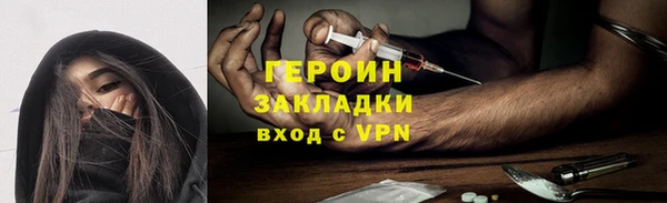 индика Новодвинск