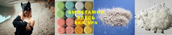 индика Новодвинск