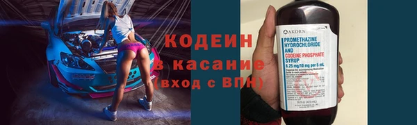 гашик Новозыбков