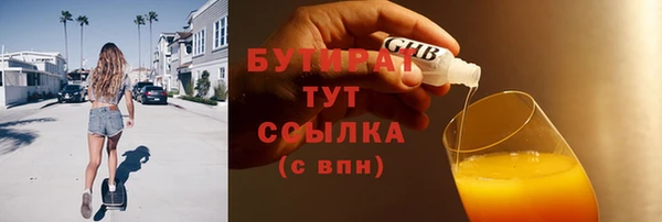индика Новодвинск