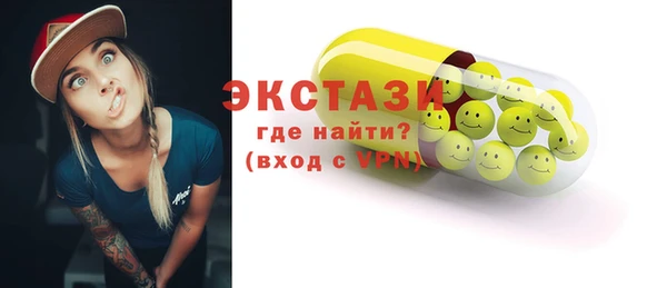 индика Новодвинск