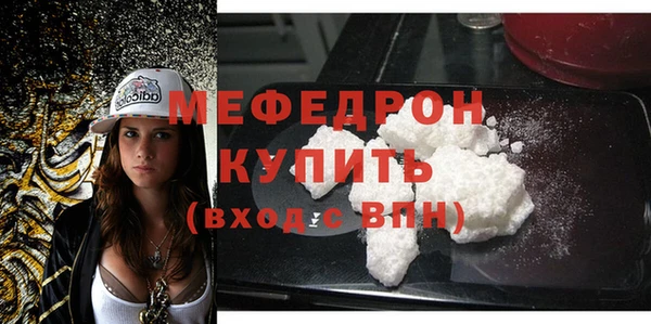 индика Новодвинск