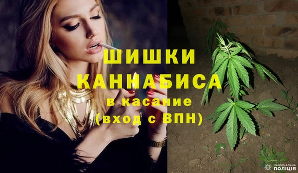 гашик Новозыбков