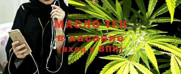 индика Новодвинск