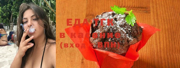 индика Новодвинск