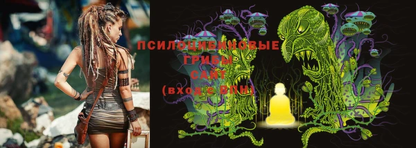 не бодяженный Новокубанск