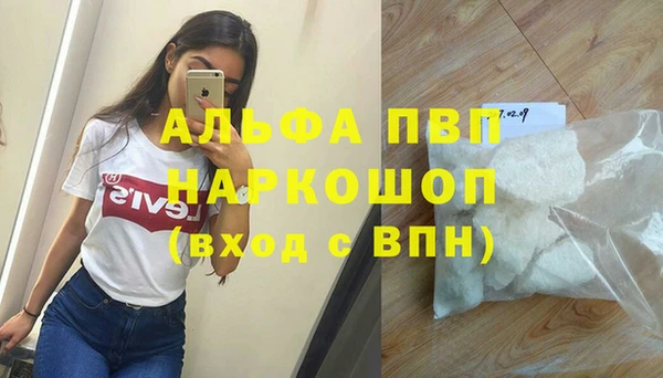 гашик Новозыбков