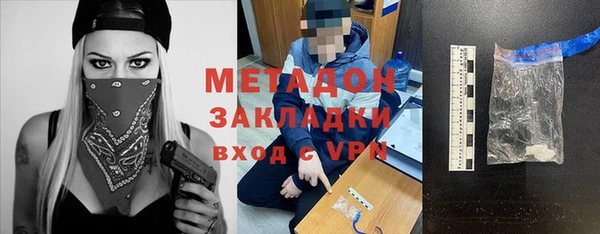 индика Новодвинск