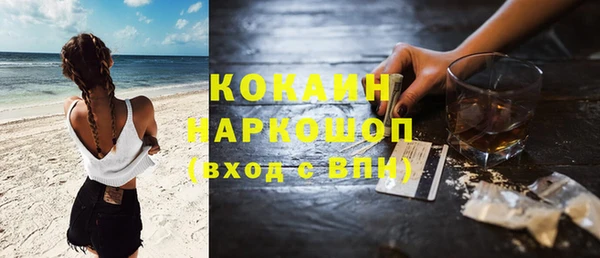 индика Новодвинск