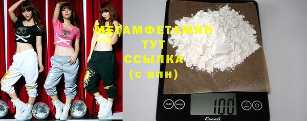 индика Новодвинск